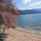 Guest House Villa Kosa