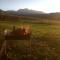 Mountain Splendour Eco Resort