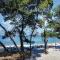 Three-Bedroom Apartment In Supetar