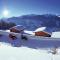 Stylish Flats in Uderns near Ski Lift