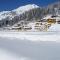 Large chalet apartment in Saalbach Hinterglemm - Saalbach Hinterglemm