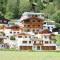 Large chalet apartment in Saalbach Hinterglemm - Saalbach Hinterglemm