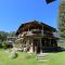Flat in Neukirchen near the waterfalls - Neukirchen am Großvenediger