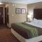 Comfort Inn & Suites Artesia