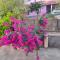 Nivaasana Bed & Breakfast