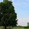 Holiday farm situated next to the Kellerwald Edersee national park with a sunbathing lawn - Bad Wildungen