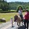 Holiday farm situated next to the Kellerwald Edersee national park with a sunbathing lawn - Bad Wildungen