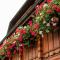 Apartment in the valley of the Black Forest