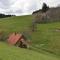 Cottage in Black Forest near ski slopes