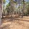 Two-Bedroom Holiday Home In Sainte Marie Plage