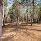 Amazing Home In Ceret With Wifi