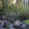 Creekside - ريدموند