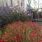 Bed & Breakfast Villa Sedin