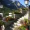 Hotel Orchidea