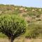 Africa Safari Maasai Boma Camping - Serengeti