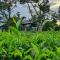 Tea Garden House
