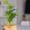 Design Apartment / 2 Room / Central / Contactless Check-in - 汉诺威