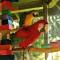 Wailuku Guesthouse