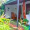Sun Flower Homestay Sigiriya - Sigiriya