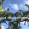 Apto Cond Ilhas do Caribe - Pr - Beira Mar