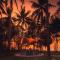 Avani Plus Khao Lak Resort - Khaulak