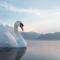 Seehotel Schwan