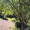 Le moulin de l Epine - Taintrux