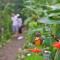 Gamboa Rainforest Reserve