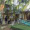 Coconut Beach Farm