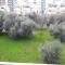 Ardem 5 Girne Luxury 1+1
