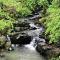 Secluded Home with Mini Waterfall and a Creek in Hot Springs - 温泉城