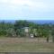 Nice Studio w/ AC near Kehena Beach and lava fields