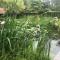 B&B. Het Hunebed Rolde