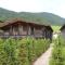 Apartment in Tyrol near ski area