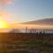 Y Branwen Restaurant & Rooms - Adult Only and Dog Friendly