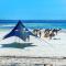 Flamboyant Diani Beach