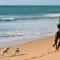 Lugar Feliz- Playas Los Caños de Meca - Los Caños de Meca