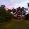 Amphibia House