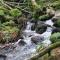 Black Forest Kuckucksnest mit Pool, Wifi, Seeblick in Schönwald im Schwarzwald