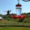 Spacious Luxury Log Home - 25 Min to Skiing, Boating and Trails! - Collbran