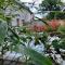 Ferme des Poulardieres - Crouy-sur-Cosson