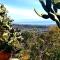 Etna panoramic villa with swimming pool