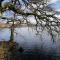 Nest Holiday Home Central Callander, Trossachs Self-catering