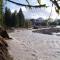 New Tiny Home Steps Away From Mt. Rainier - أشفورد
