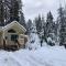 New Tiny Home Steps Away From Mt. Rainier - أشفورد