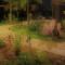Lotus Sutra Beachfront Resort