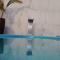 Blue Hostel