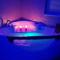 Jacuzzi Room - Subotica