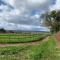 Dovecote Cotswold Cottages - 奇平诺顿