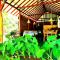 Priya Homestay Kandalama - Dambulla